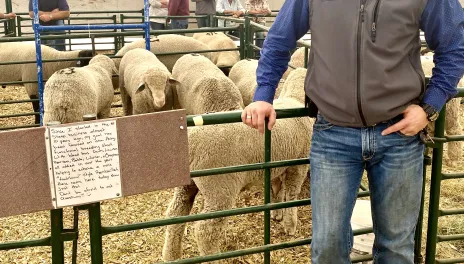 Chance Porsborg began his sheep project with NDLWP starter flock and now leads the youth program.