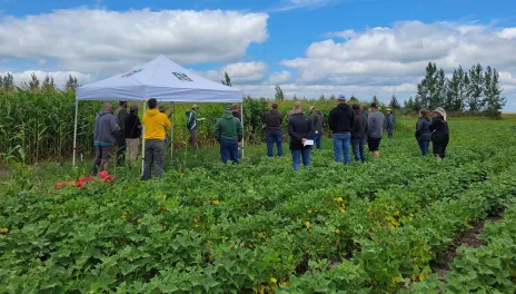 Participants will hear about topics such as soil fertility, soil testing, cover crop management and on-farm soil management practices. 