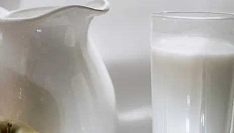 Milk supplies high-quality protein, calcium, vitamin B12, riboflavin, phosphorus and several other nutrients for children and adults.