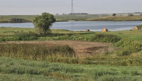 A large body of water with access obscurred by a mud bog.