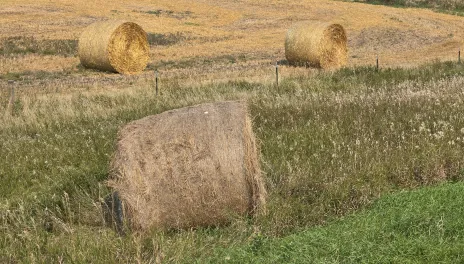 A round bale of hay.