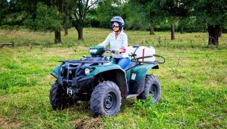 A four-wheeler.