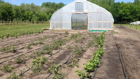 The field day will include presentations on grapes, high tunnel onions and leeks, apples, raspberries, hydromulches and woody plant breeding research.