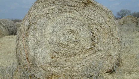 A round bale of hay.