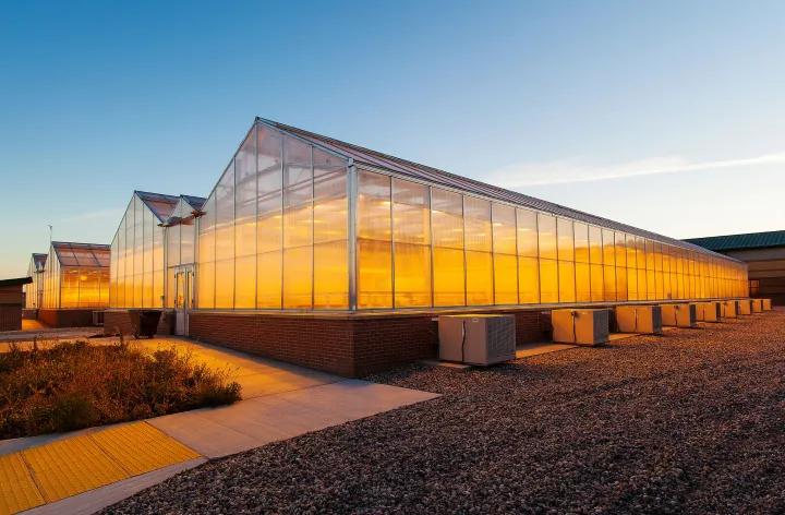 lit greenhouse at dusk