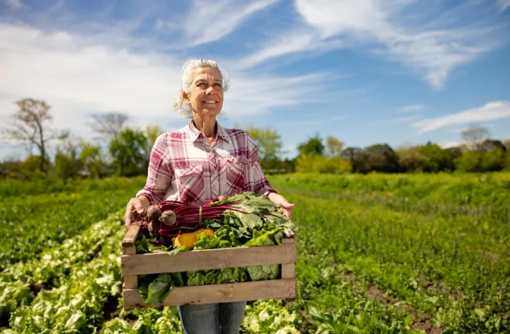 Female farmer carrying crate of organic vegetables