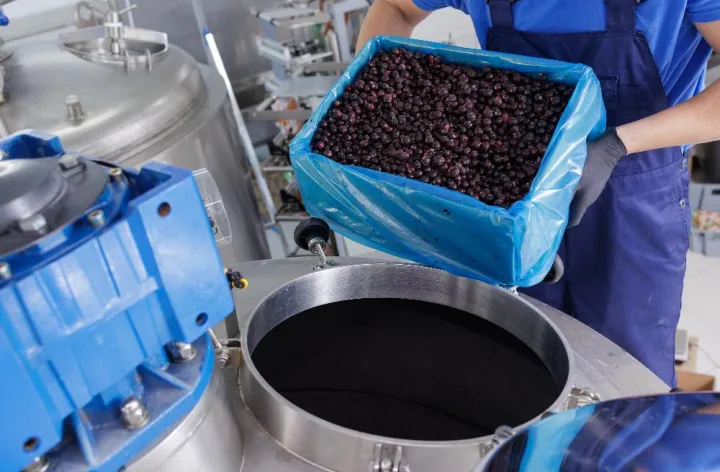 Worker pouring fresh berries into an industrial food processing machine
