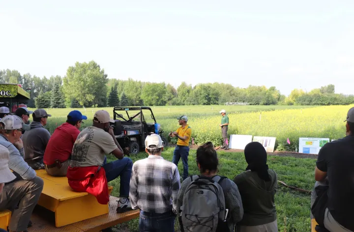 a man speaks to a crowd about the canola crop behind him