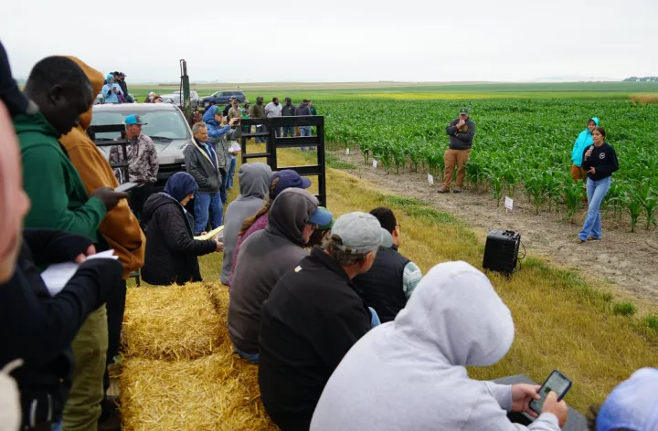 people doing a corn research demo in front of a crowd