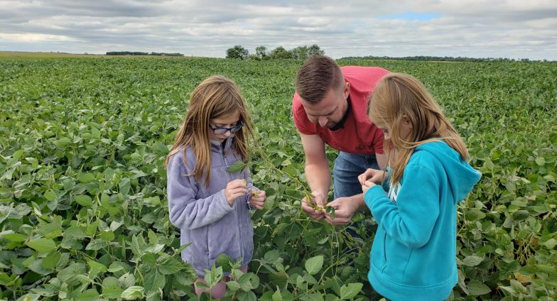 2 children looking at soybean plant in field with dad
