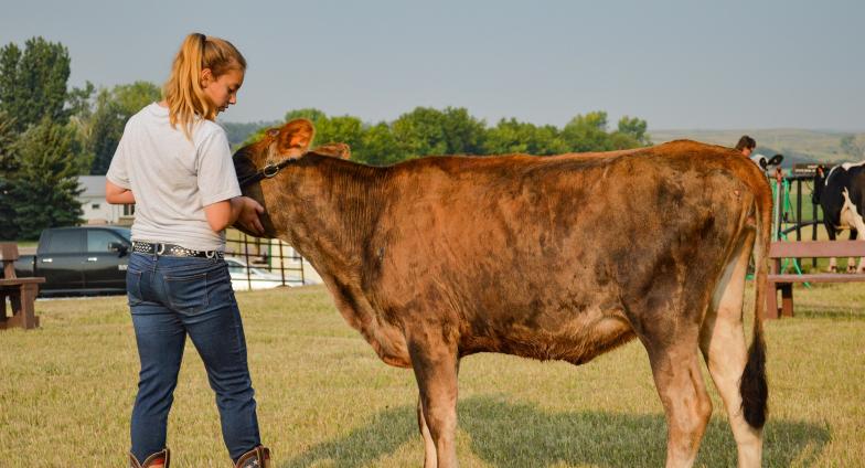 girl with brown cow
