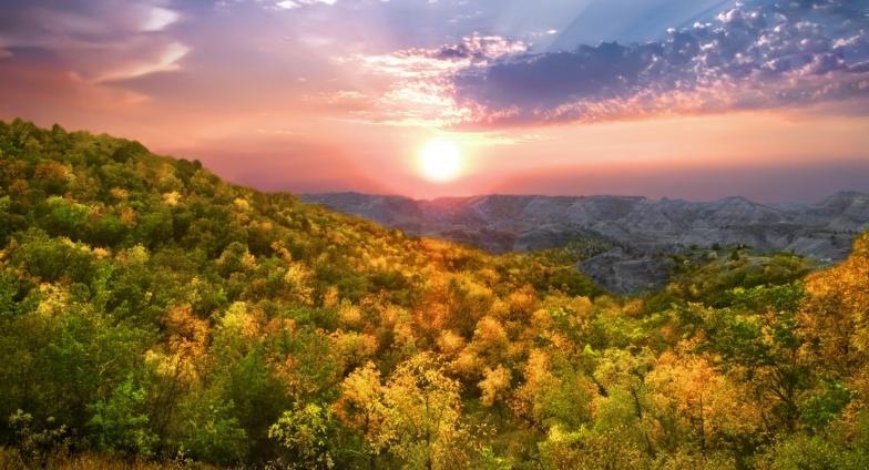 hilly landscape with trees and sunset