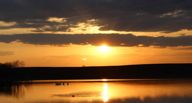 sunset over a lake with ducks swimming
