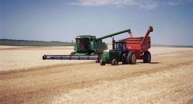 combine harvesting barley