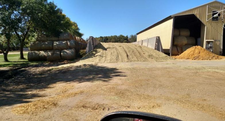 A large pile of corn silage beside a yellow, metal building. A stack of round hay bales and a line of large trees are visible on the other side of the pile. 