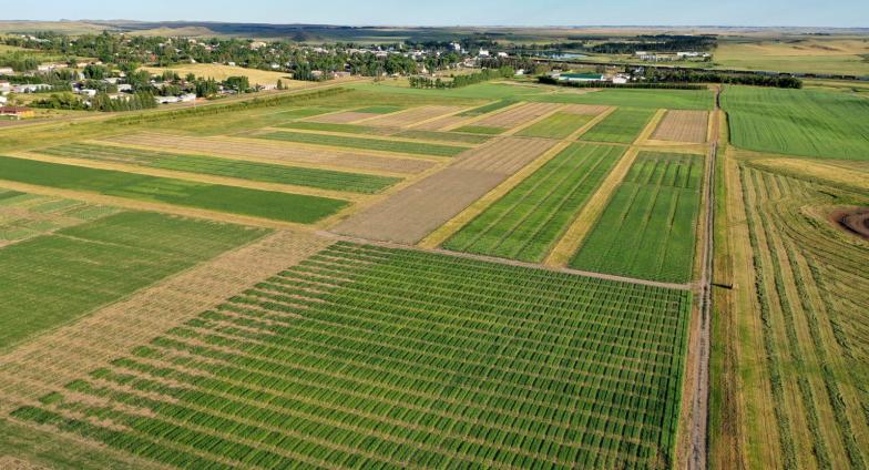 View of Hettinger REC agronomy plots from above, taken by a drone