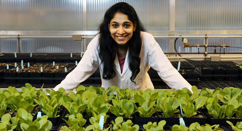 Microbiology student in greenhouse