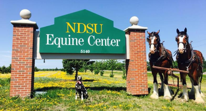 Horses and dog in front of Equine Center sign