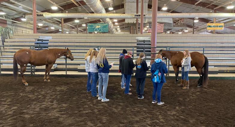 Equine Science Students