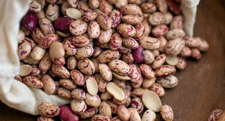 Beans, Lentils, Chickpeas