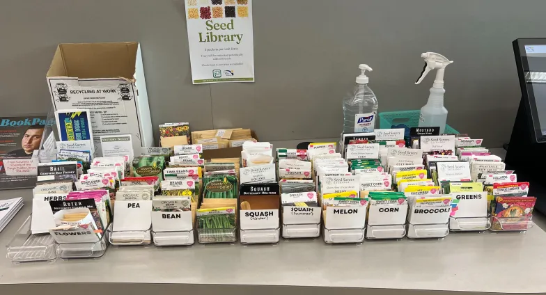 Seed packets on display at the downtown Fargo, ND public library