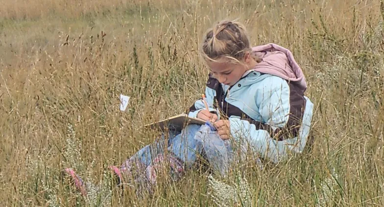 Range Judging Contest
