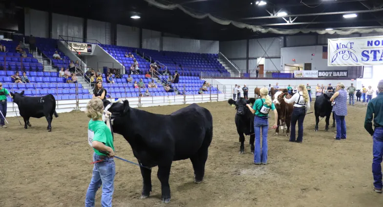 NDSF livestock shows