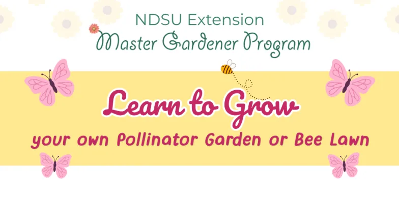 Pollinator Garden lead photo