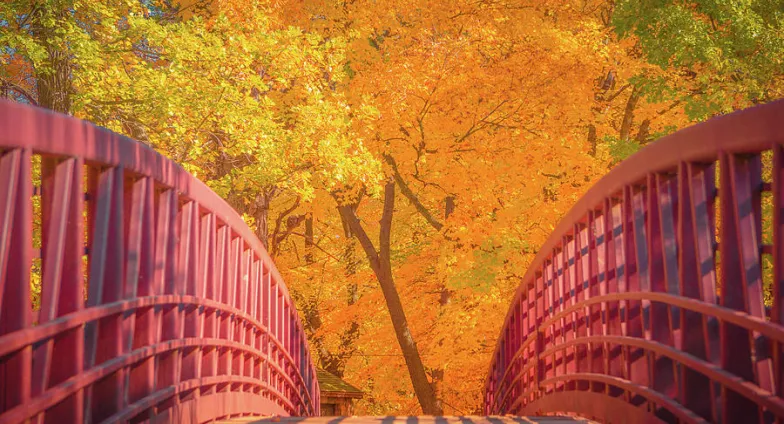 autumn bridge hill