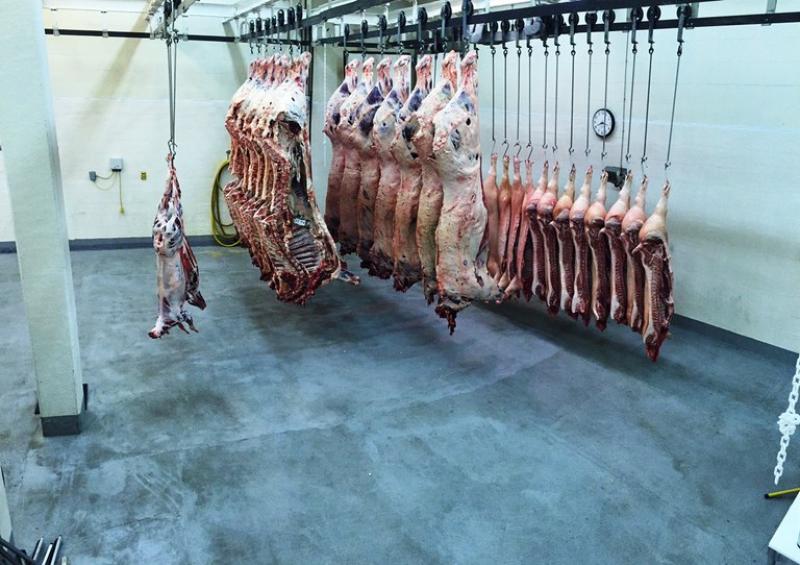Meat carcasses on hooks