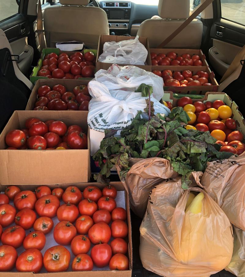 car full of vegetable donations
