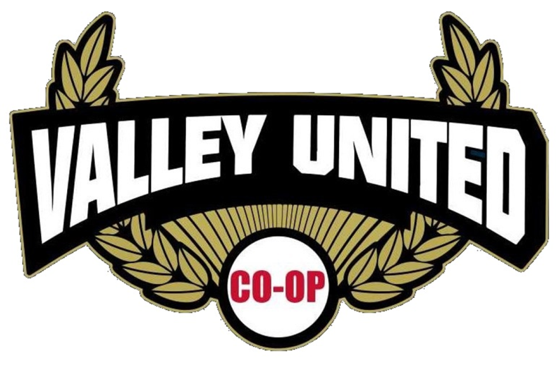 Valley United logo