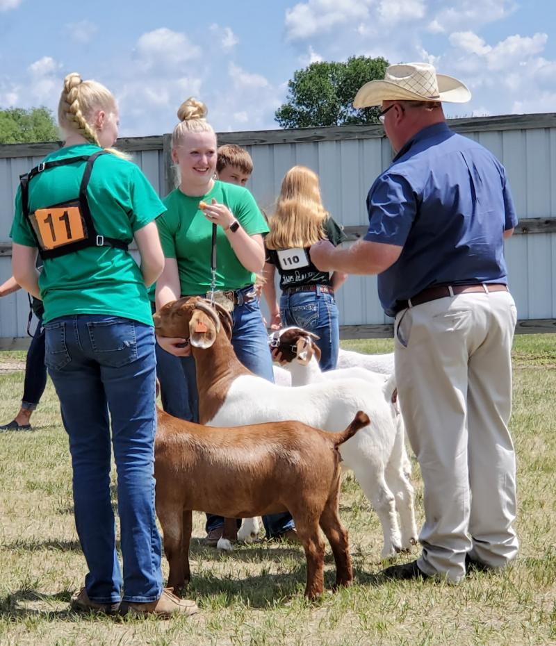 2 girls showing goats and interacting with the judge.
