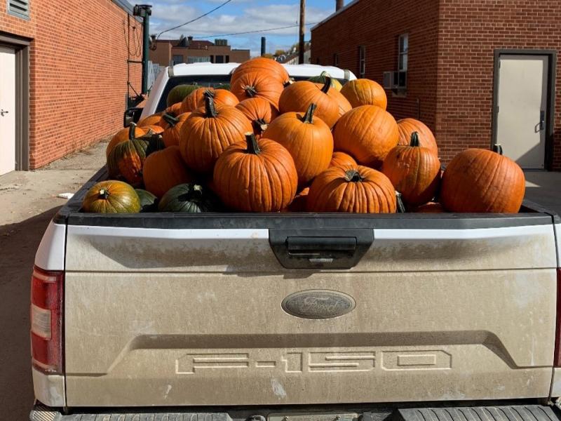 a load of pumpkins in a truck bed