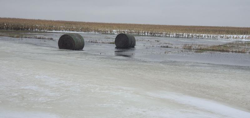 Hay bales in a flooded field 
