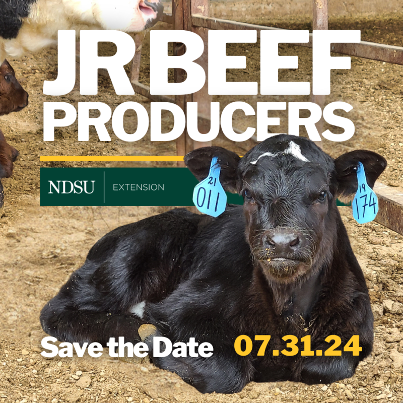 Junior Beef Producer Camp 2024