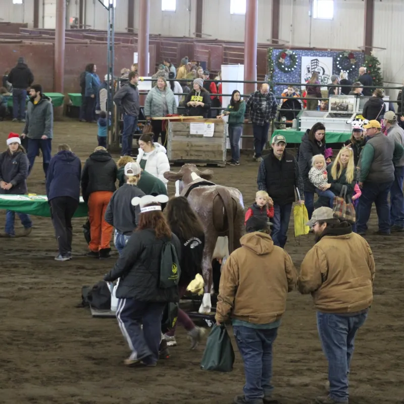 Kids and adults at the NDSU Equine Center inside checking out animals