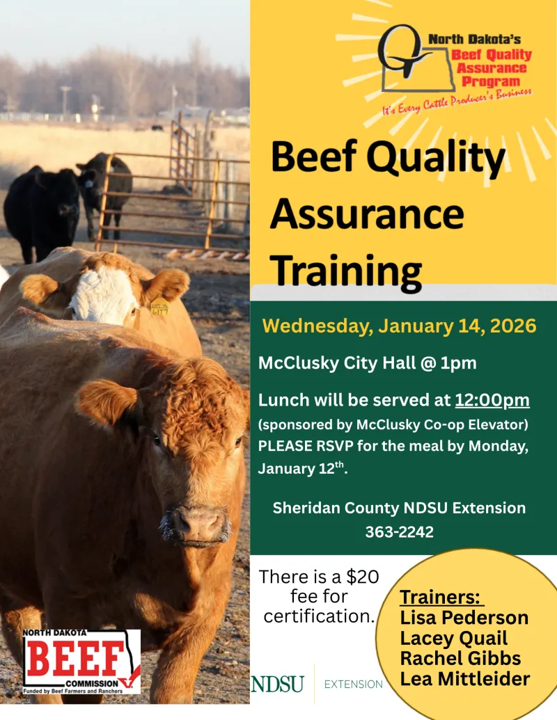 Beef Quality Assurance Training- Sheridan County