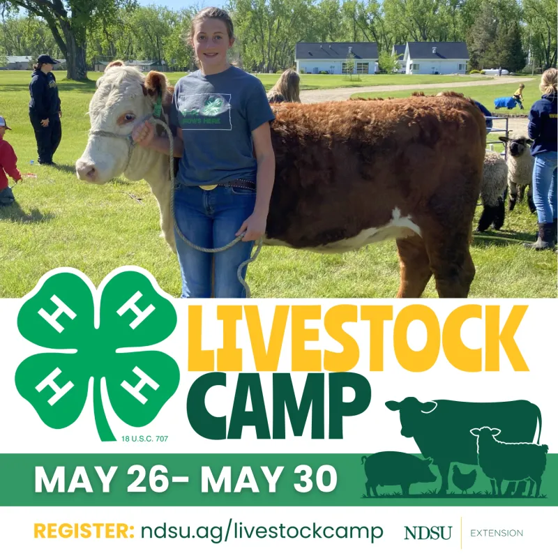 Livestock Camp 2026