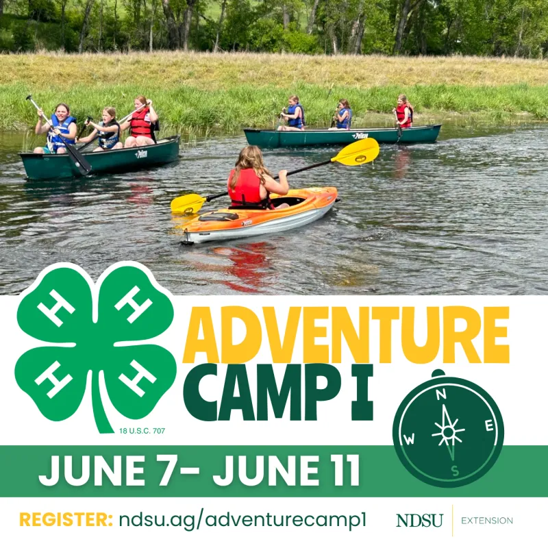 Adventure Camp 1