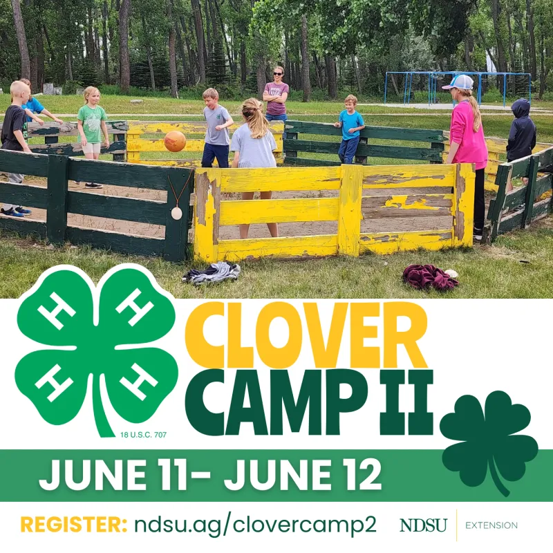 Clover Camp 2