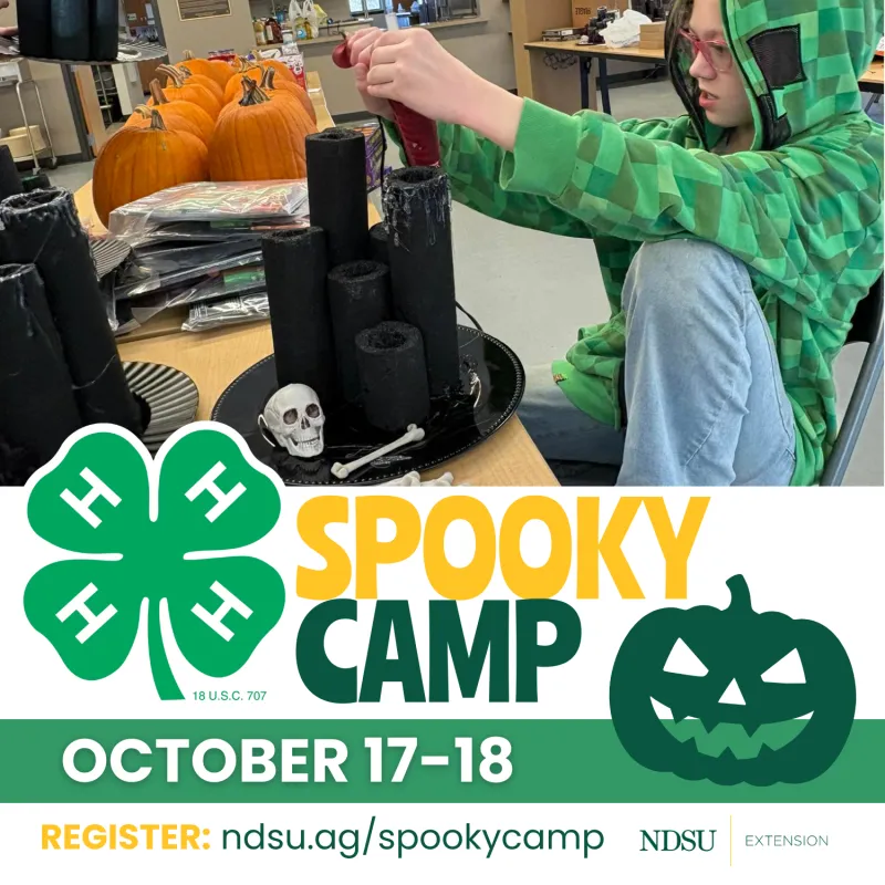 Spooky Camp