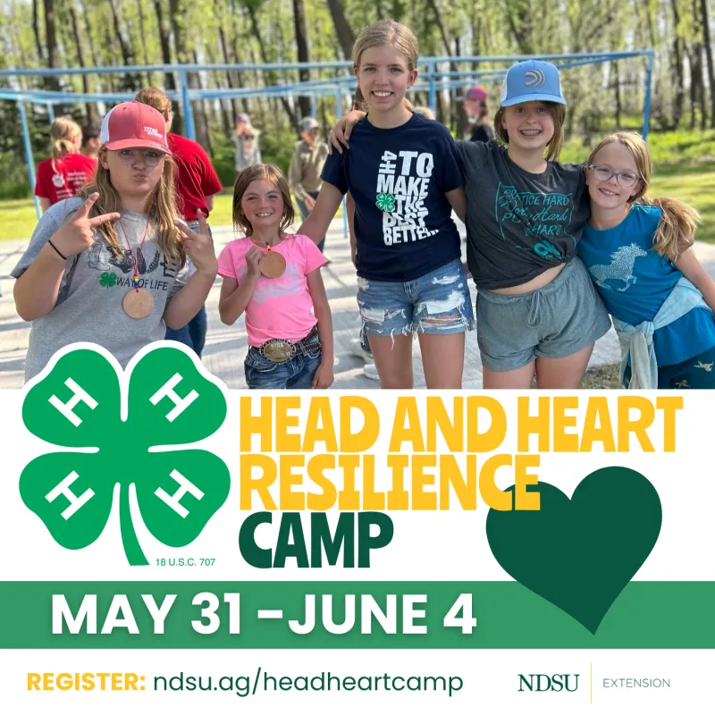 headheart camp