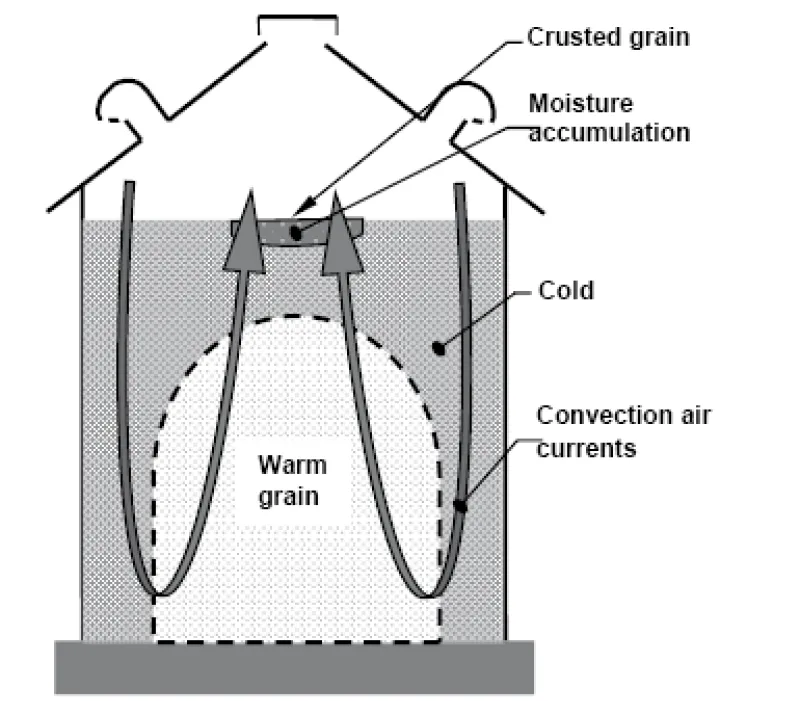 Figure 19