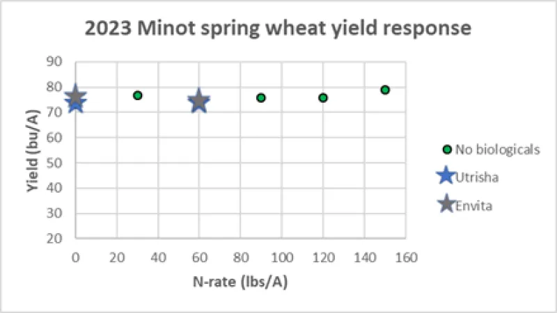 A scatter chart depicting spring wheat yield in bushels with varying rates of nitrogen plus tested biologicals.