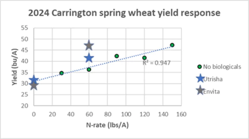 A scatter chart depicting spring wheat yield in bushels with varying rates of nitrogen plus tested biologicals.