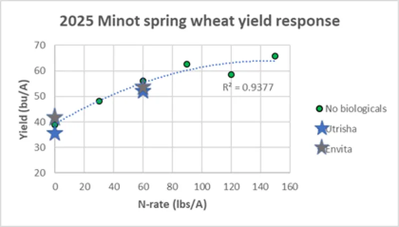 A scatter chart depicting spring wheat yield in bushels with varying rates of nitrogen plus tested biologicals.