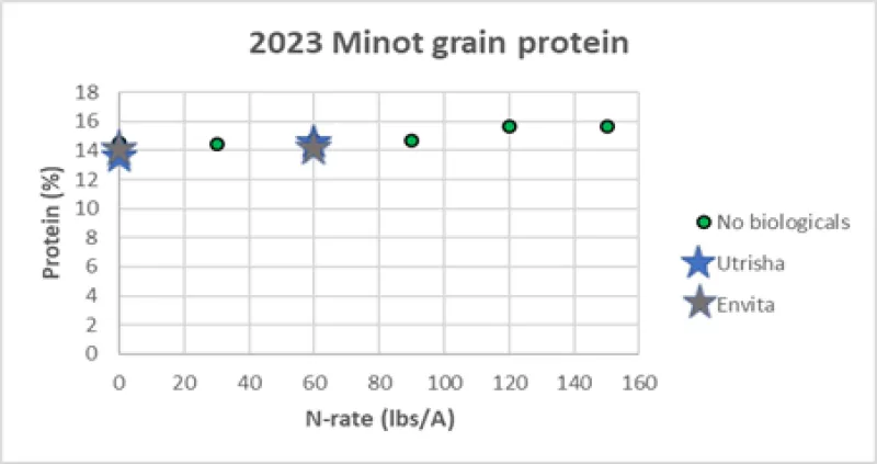 A scatter chart depicting spring wheat protein percent with varying rates of nitrogen plus tested biologicals.
