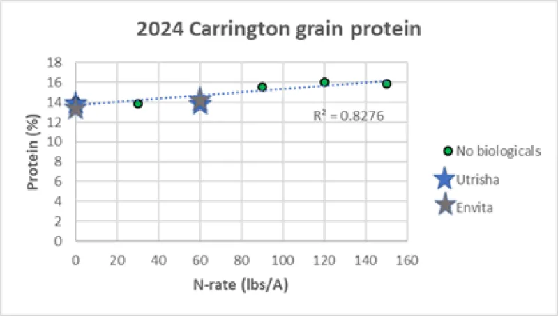 A scatter chart depicting spring wheat protein percent with varying rates of nitrogen plus tested biologicals.