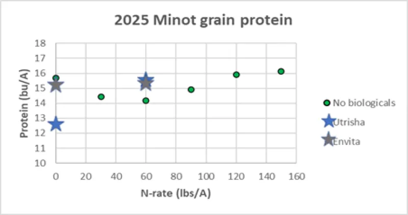 A scatter chart depicting spring wheat protein percent with varying rates of nitrogen plus tested biologicals.